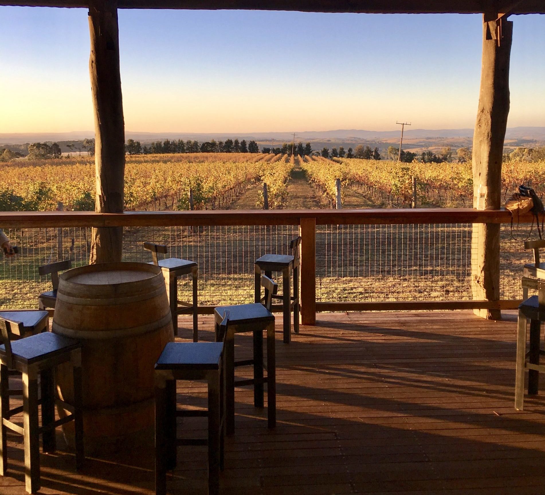 2010 - Cellar Door Opens at Lofty Vineyard.
