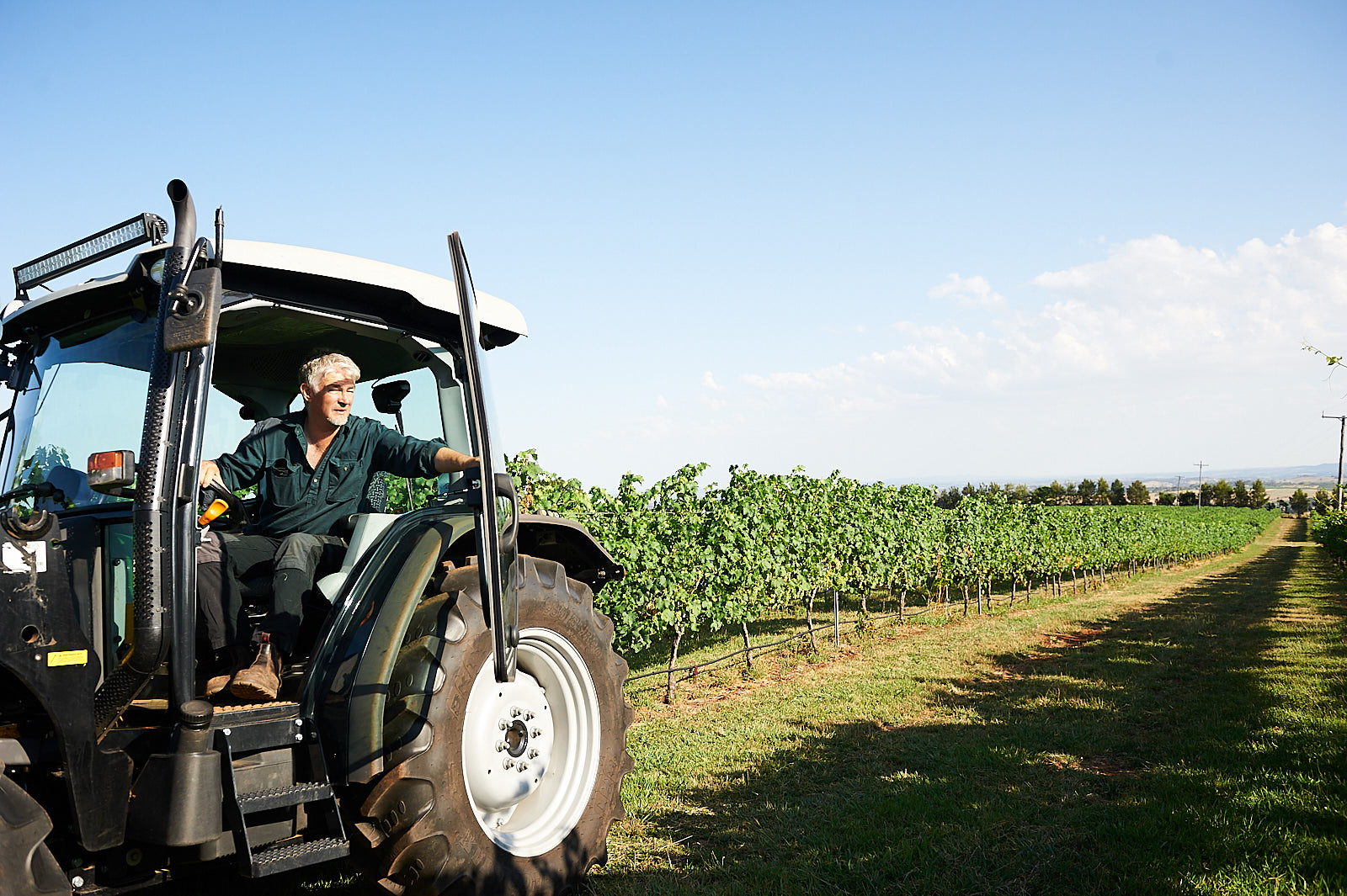 2009 - Established our own winery and made our First Vintage from Lofty Vineyard.
Lofty Vineyard was Purchased.
Lofty Vineyard was first planted in 1993 to Chardonnay and Merlot by renowned Orange horticulturalist, David Gartrell. Subsequent plantings have increased the vineyard area to 9Ha.
