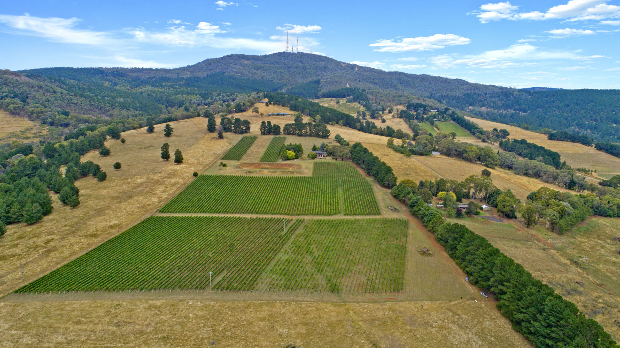 2015 - Purchased Forest Edge Vineyard.
Bubbles: started a set of Solera tanks and barrels.
Commissioned the bottling line.
