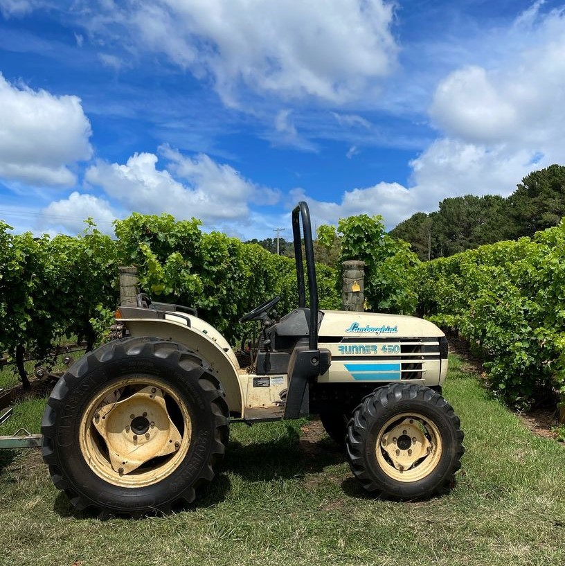 Because of the tight rows at Forest Edge Vineyard, we use narrow tractor to pick up the mornings harvest. As we can’t fit a ute in between these narrow rows. The Lamborghini pulls a tailor made trailer which we load up with fruit baskets, weighing 750 kg. This Italian stallion just breezes through.