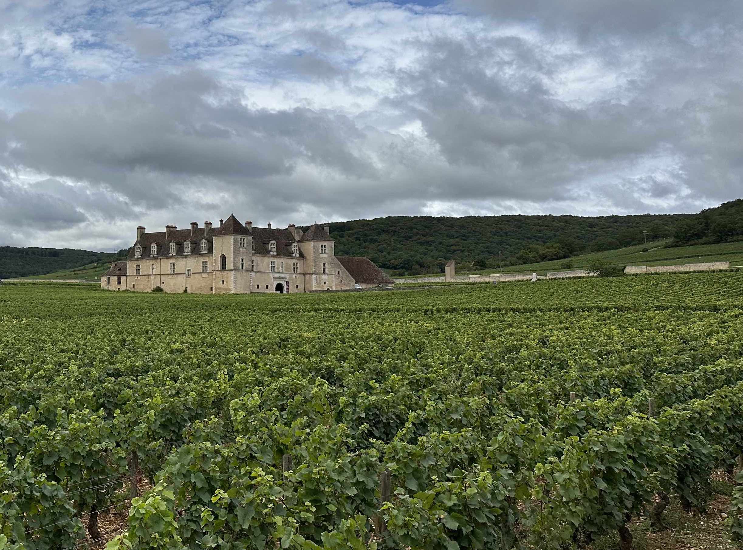 Clos de Vougeot